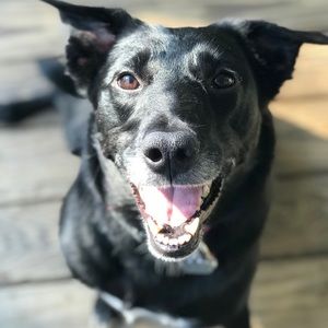 Meet your Posher, Ethan